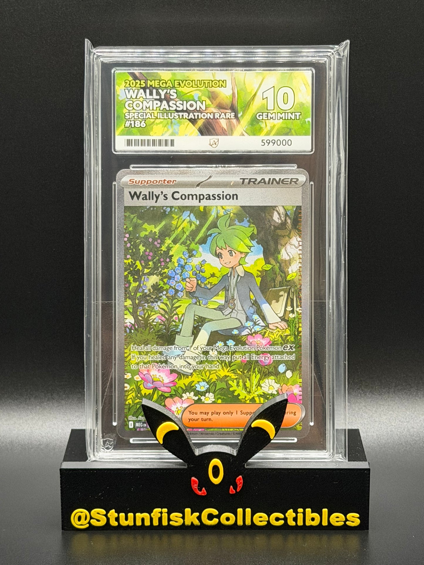 Wallys Compassion SIR - Ace 10 186/132 - Mega Evolutions - Perfect Subgrades